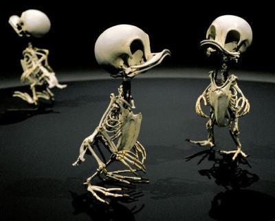 Huyong Lee - Animatus - Tick, Trick and Track